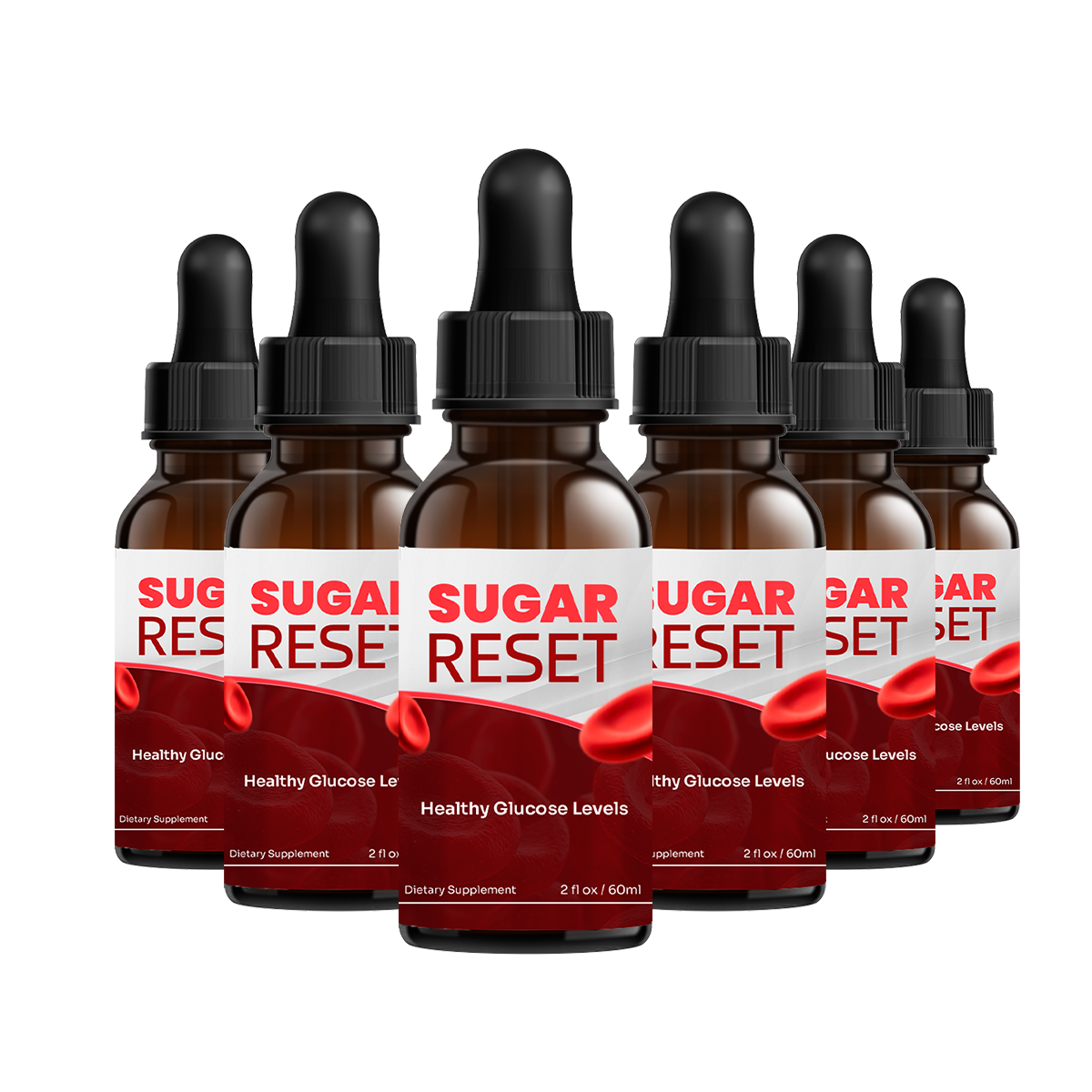 Sugar Reset 6 Bottles package